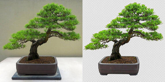 Best Business Design Services in USA