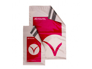 Best Business Design Services in USA