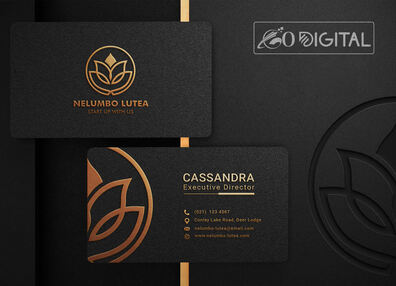 Best Business Design Services in USA