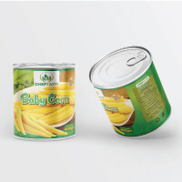 Best Business Design Services in USA