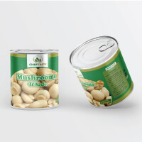 Best Business Design Services in USA