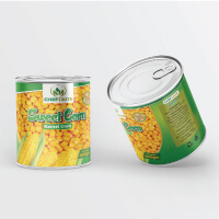 Best Business Design Services in USA