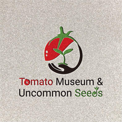 Best logo Design Services in USA