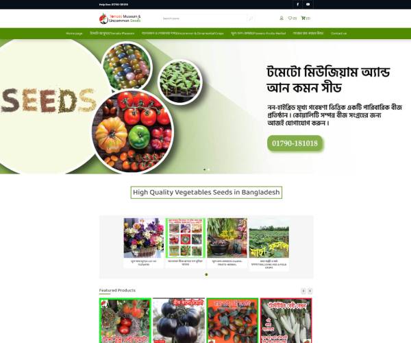 Best Business Design Services in USA